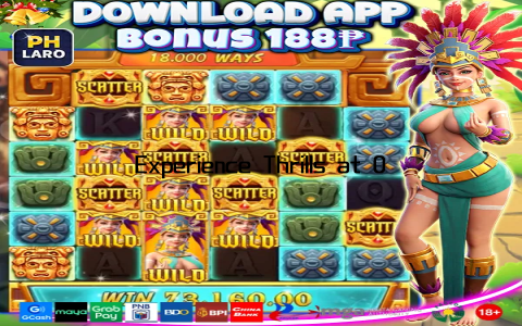 Experience Thrills at OkPlay Casino Today